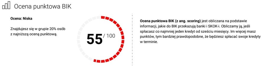 Raport BIK - fragment prezentujący ocenę punktową wraz z jej opisem