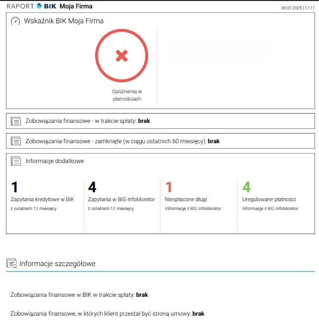 Przykładowy raport z BIK dla firm