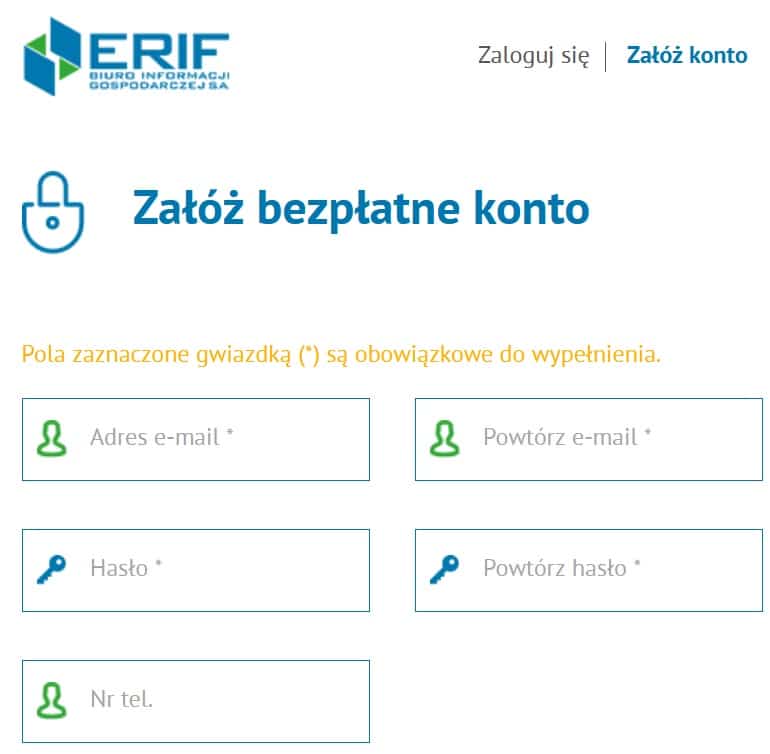 Widok panelu klienta w systemie BIG ERIF