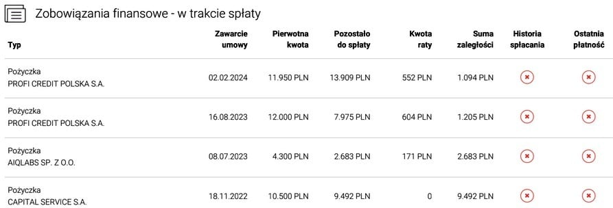 Lista chwilówek widoczna w raporcie BIK - fragment raportu BIK