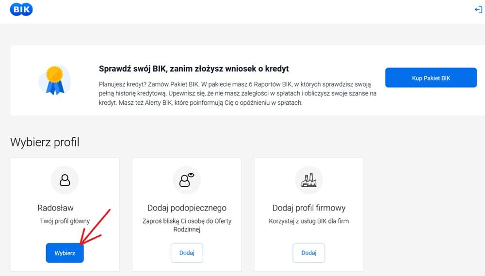 Fragment panelu klienta portalu BIK.pl