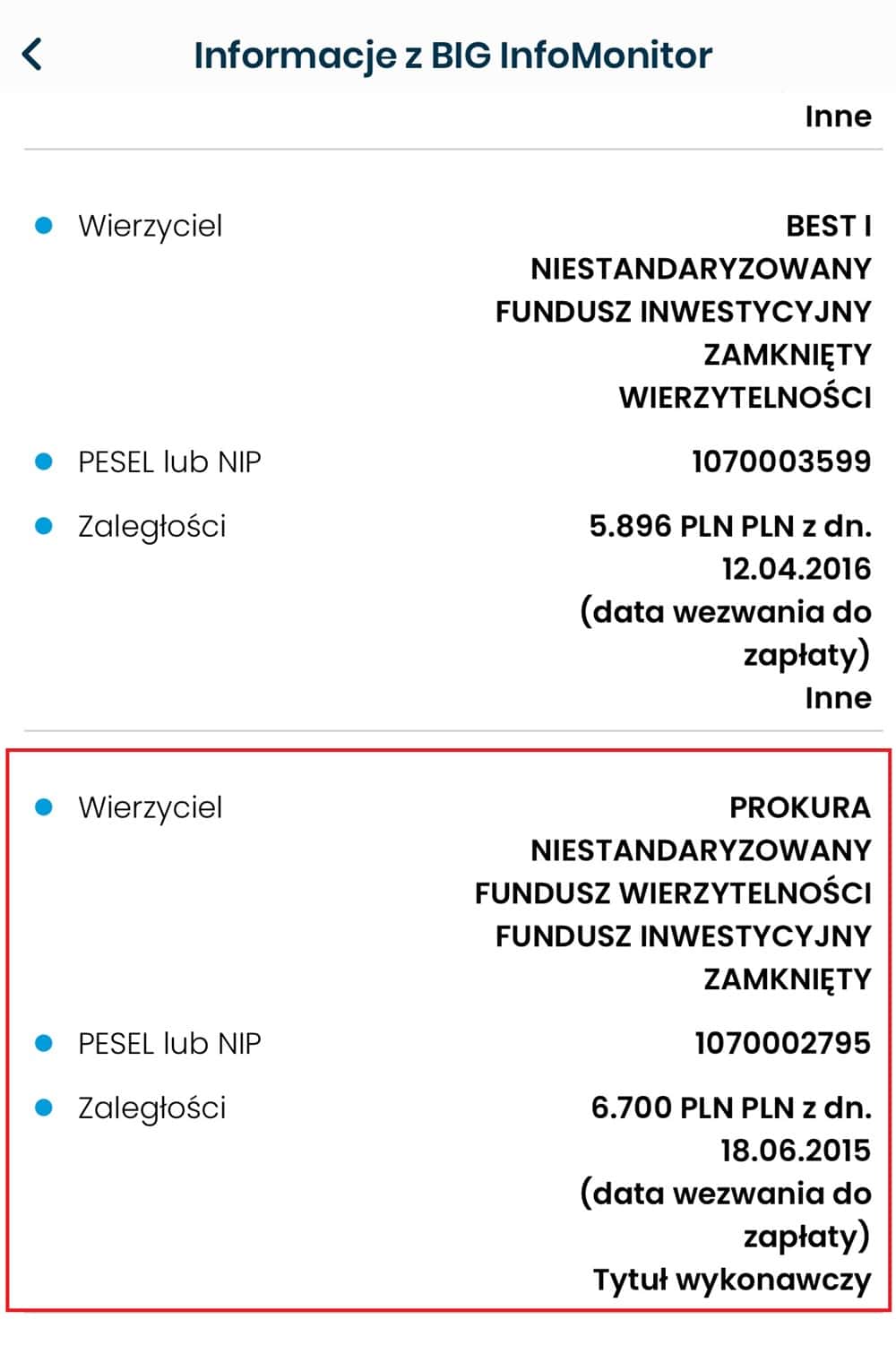 Fragment raportu BIG Infomonitor z wpisem funduszu Prokura, czyli Kruka