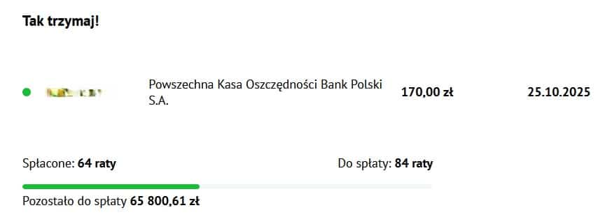 Widok na panel klienta e-kruk.pl pokazujący postęp w spłacie zadłużenia