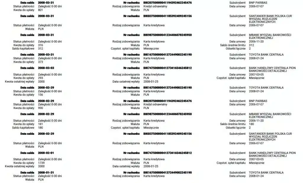 Fragment bezpłatnego raportu BIK - KOpia danych