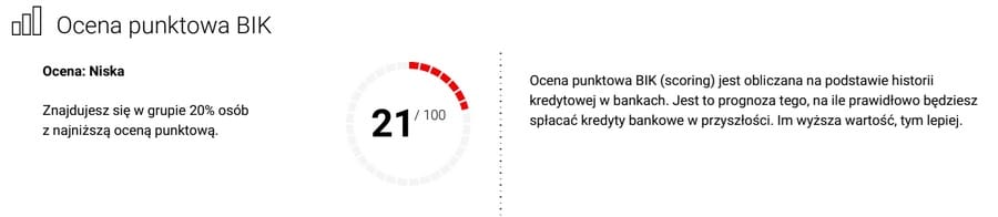 Ocena punktowa BIK 21 punktów - fragment raportu BIK